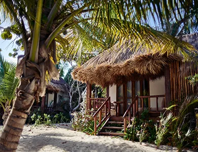 A house with a thatched roof and palm trees, a detailed matte painting by Ralph Burke Tyree, featured on pexels, photorealism, photo taken with ektachrome, made of vines, enchanting